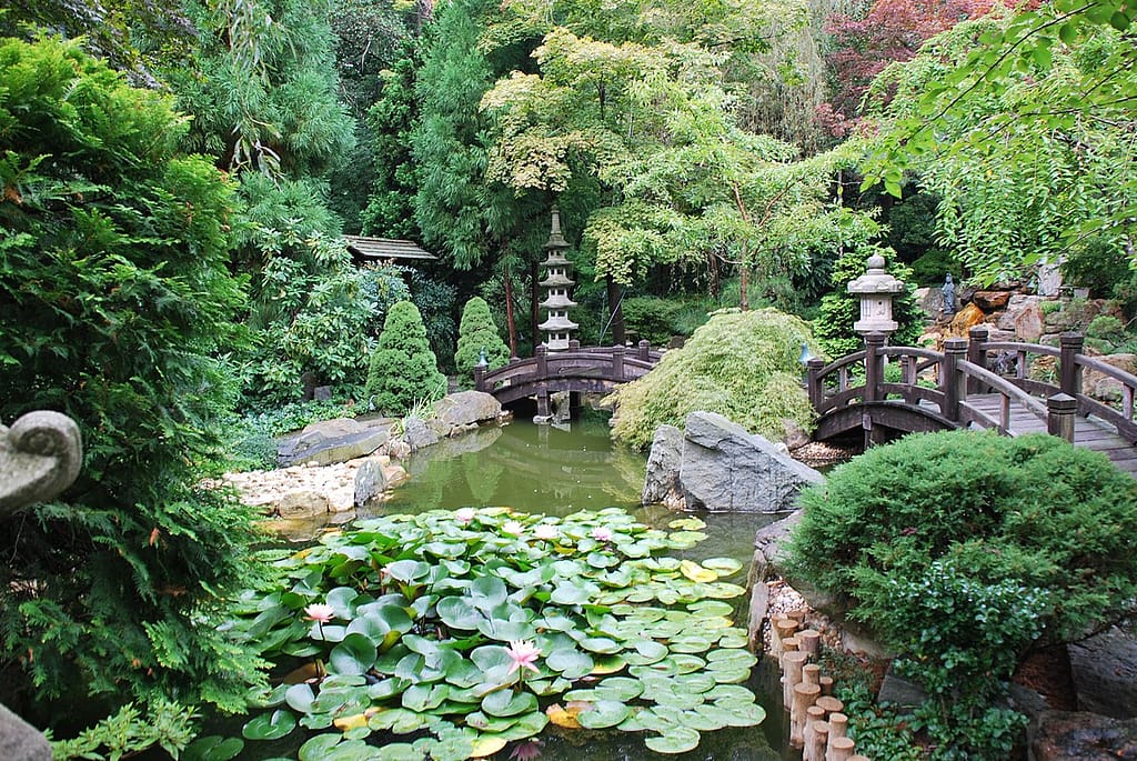 Visiting the Japanese Garden at Hillwood Estate will bring you to a different place