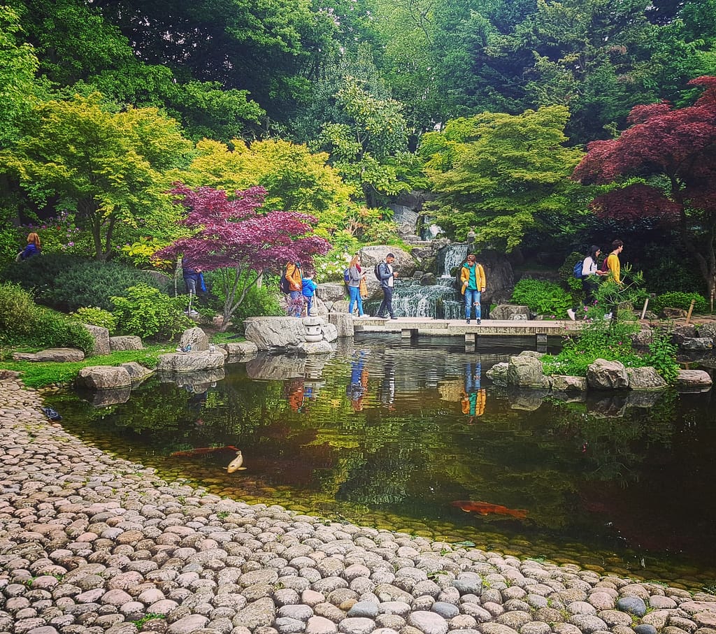Discover Kyoto Garden any Weekend with your family or friends. This the first of our top-5 Japanese Gardens in London